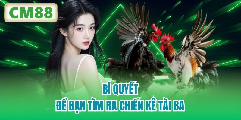 Bí quyết để bạn tìm ra chiến kê tài ba