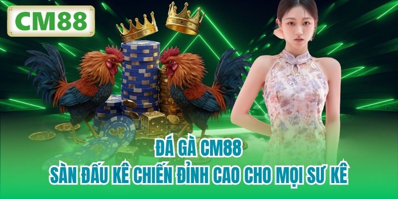 Đá Gà CM88 | Sàn Đấu Kê Chiến Đỉnh Cao Cho Mọi Sư Kê