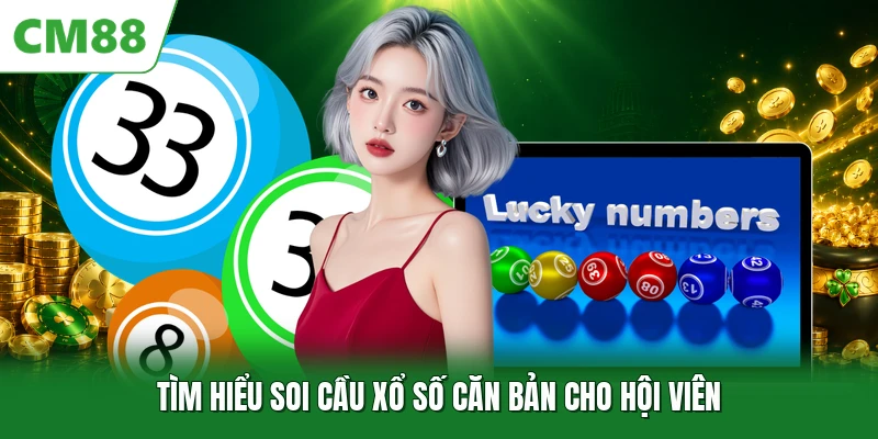 Tìm hiểu soi cầu xổ số căn bản cho hội viên